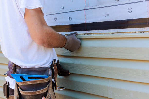 Affordable Siding Replacement solutions in Pine Level, NC